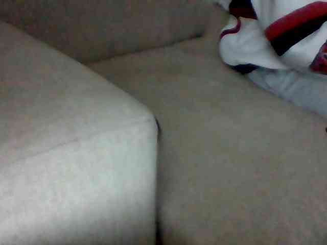 Stacycake webcam