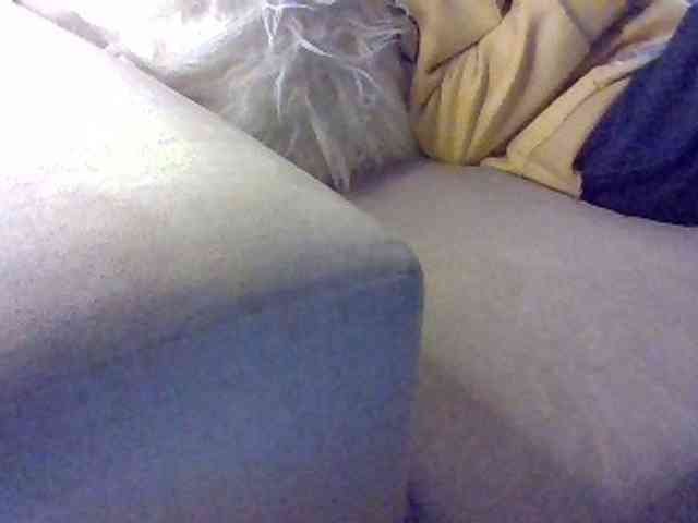 Stacycake webcam