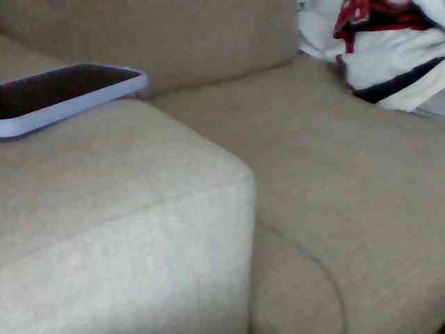 Stacycake webcam
