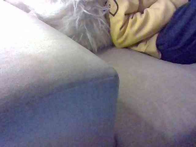 Stacycake webcam