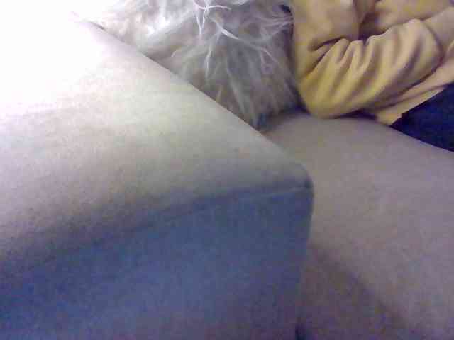 Stacycake webcam