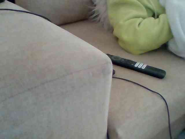 Stacycake webcam