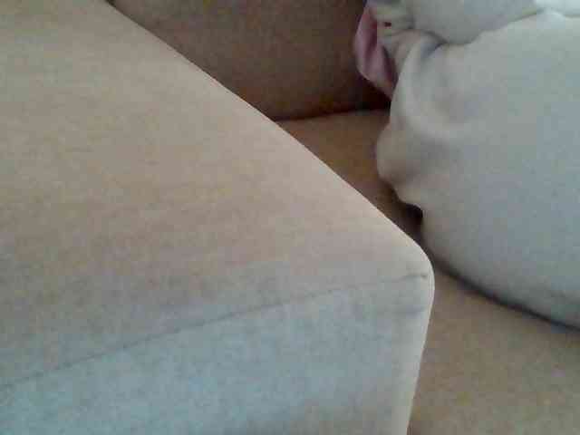Stacycake webcam