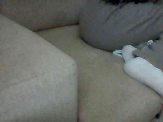 Stacycake webcam