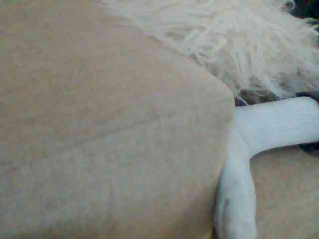 Stacycake webcam