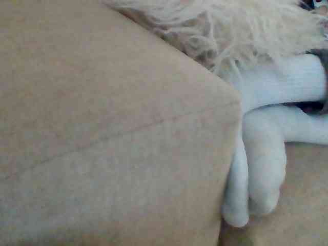Modella: Stacycake