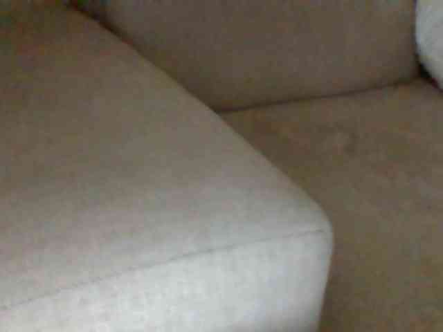 Stacycake webcam