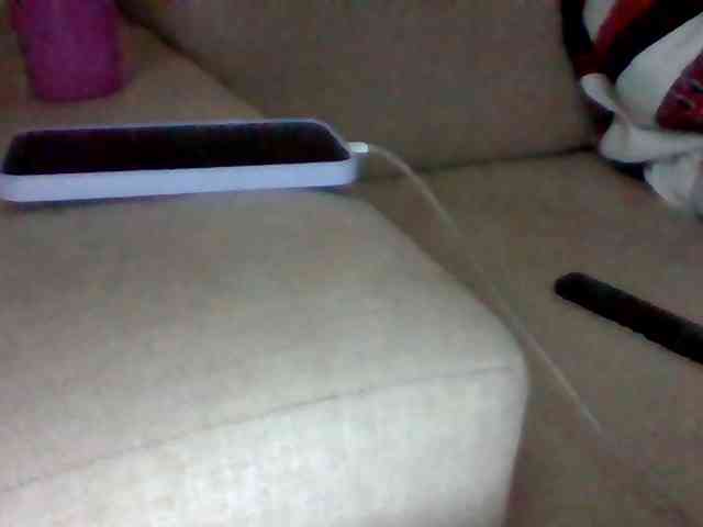 Stacycake webcam