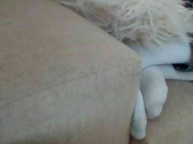 Stacycake webcam