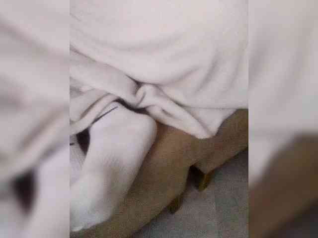 Stacycake webcam