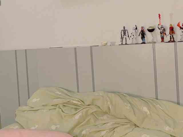 Red-RoxyFoxy webcam