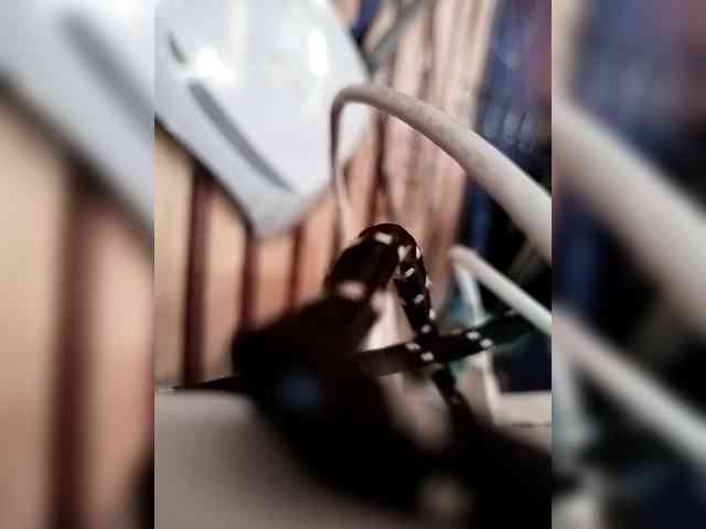 LUCKY17-1 webcam