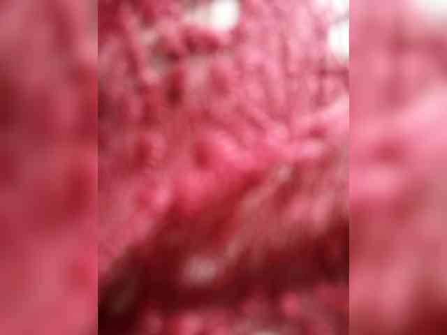 LUCKY17-1 webcam