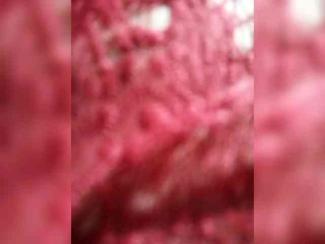 LUCKY17-1 webcam
