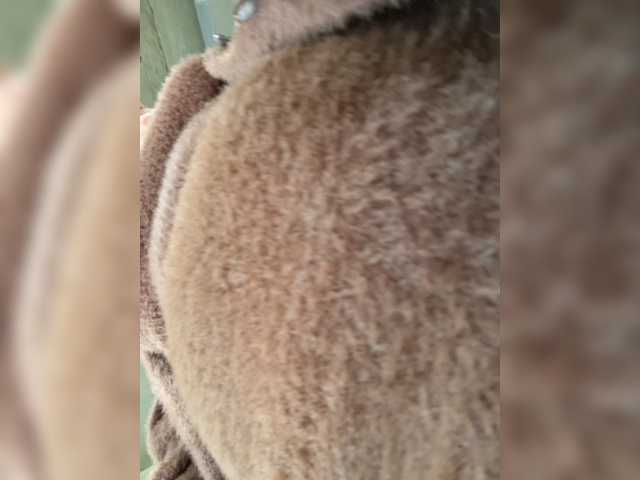 pupaa