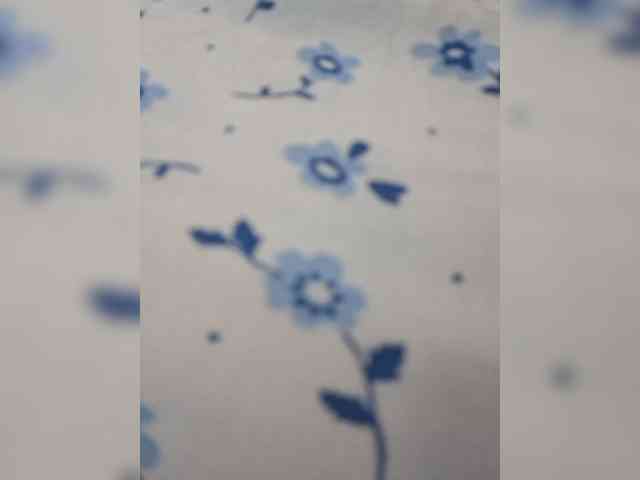 pupaa webcam