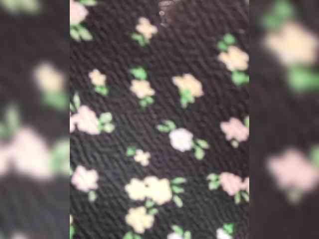 pupaa webcam