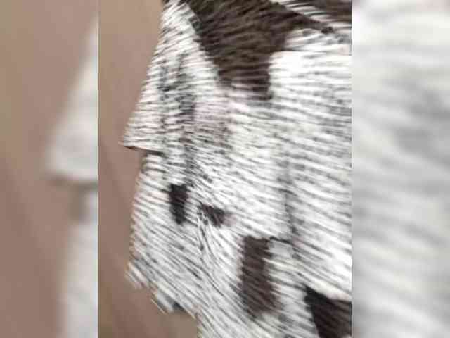 pupaa webcam