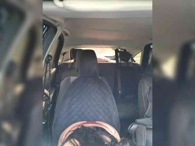 pupaa