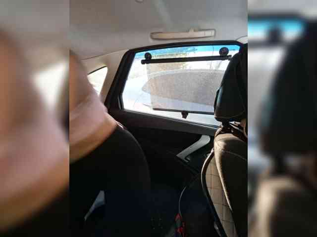 pupaa