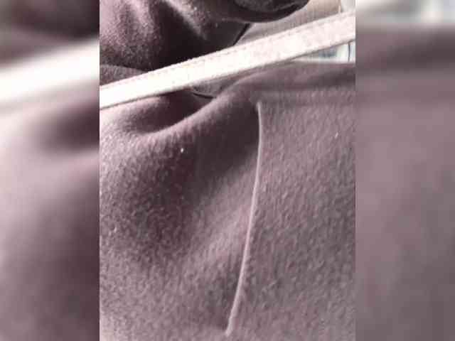 pupaa webcam