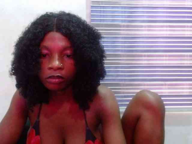 Modèle: Hornyxbum
