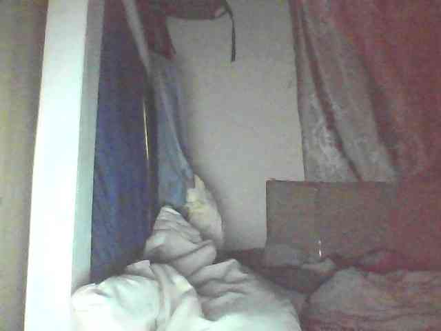 Elishi2541 webcam