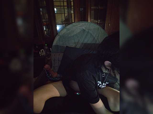 CrazySquirtSiren