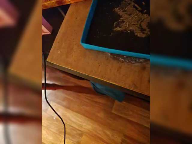 CyberSiren