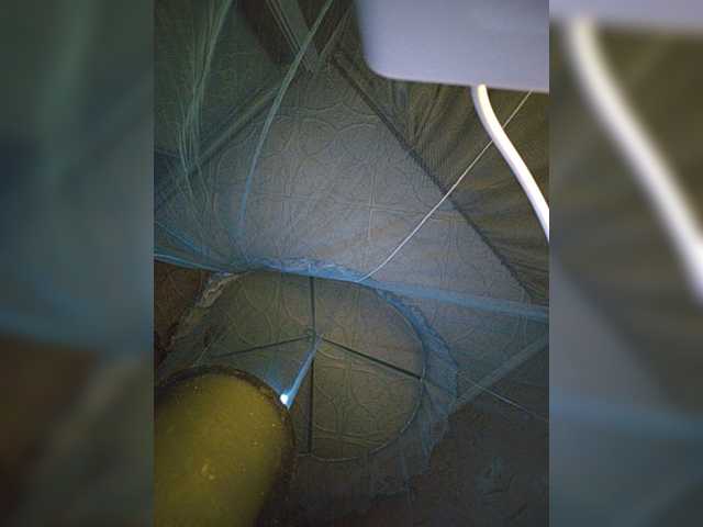 CyberSiren live cam on BongaCams