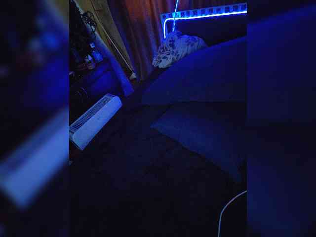 Siren_Muse webcam