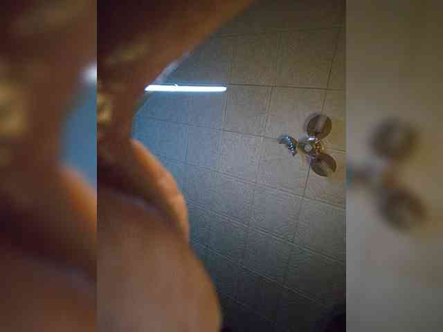 CrazySquirtSiren