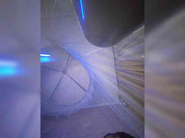 CyberSquirtSiren webcam