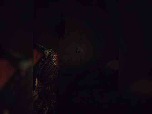 UntouchableSquirtWitch webcam