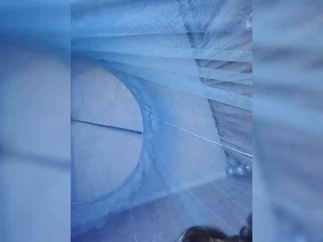 CyberSquirtSiren webcam