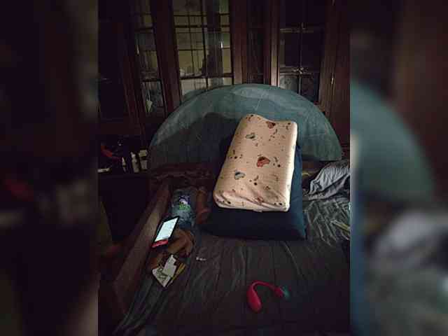 CrazySquirtSiren webcam