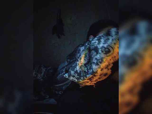 UntouchableSquirtWitch webcam