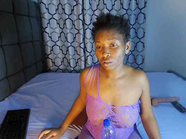 Partycakes webcam