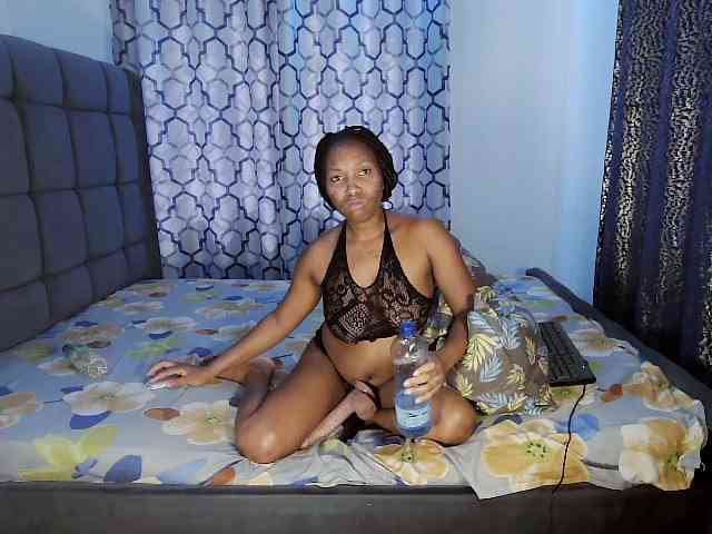 Partycakes webcam