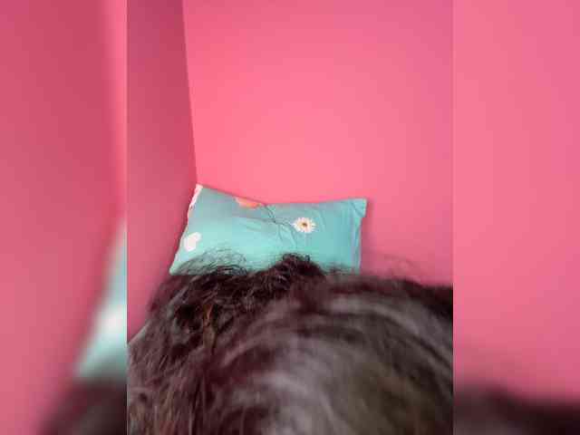 Zaraelin webcam