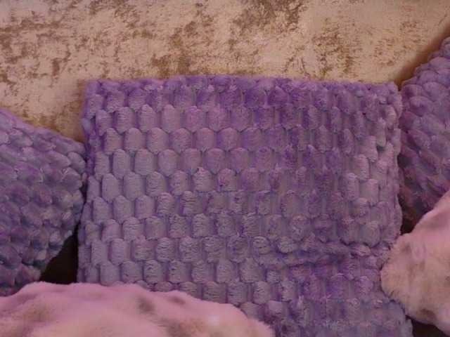 amynaxxx live sex show
