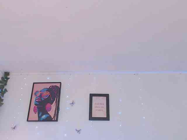 SofieWish webcam