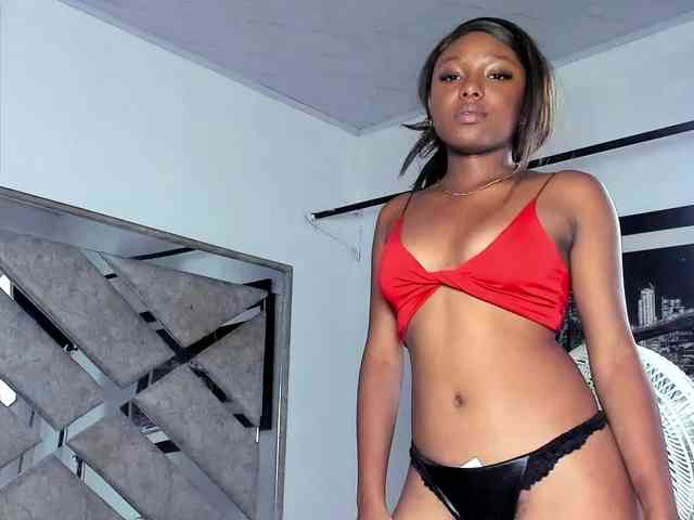 Modelo: ReinaDelSur