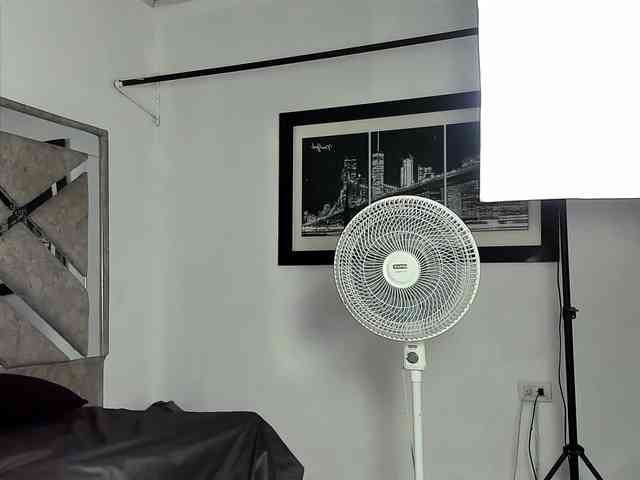 ReinaDelSur webcam