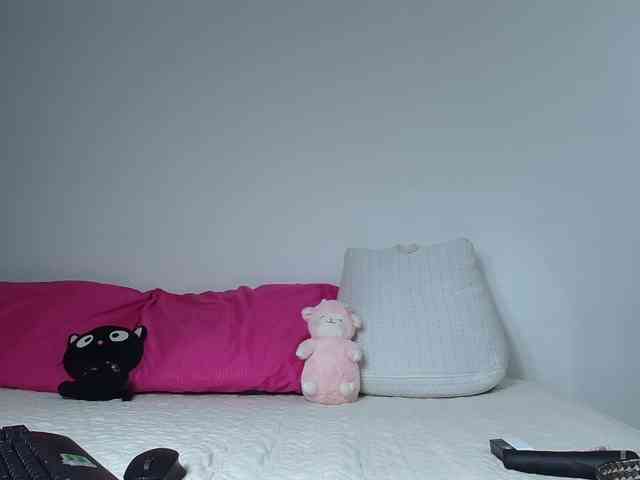 Hornet999 webcam