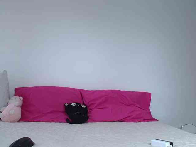 Hornet999 webcam