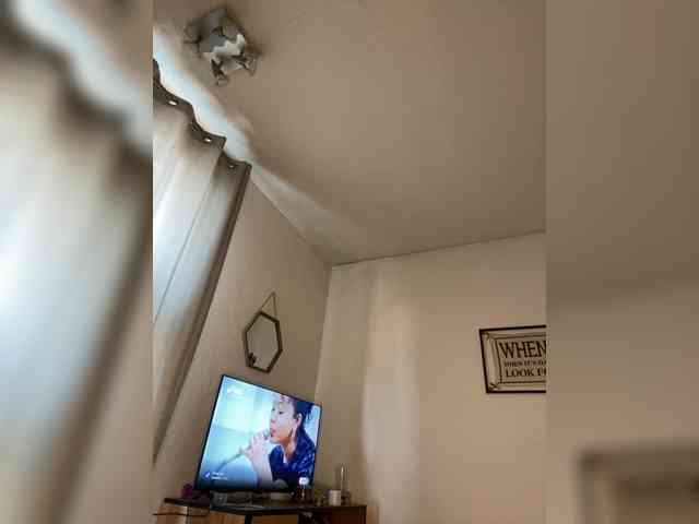 RoxyRed webcam