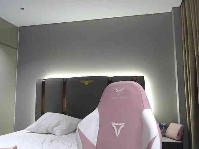 Kira-kirkros webcam