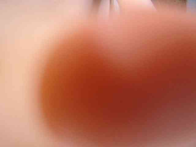 LauraineMisti webcam