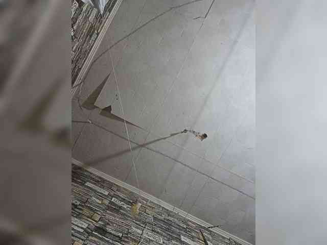 MangoOyess1 webcam